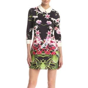 Ted Baker Youma Tunic Dress Mini Collared Floral Scuba Cuffed Women's 2 Medium M